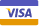 Visa card icon